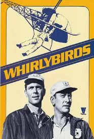 Poster da série Whirlybirds