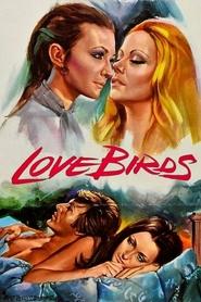 Love Birds movie poster