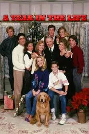 A Year in the Life tv show poster