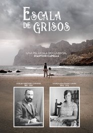 Escala de grisos movie poster