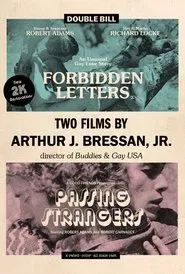 Arthur J. Bressan Jr.'s Early Super 8 Shorts movie poster