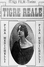 Poster do filme The Royal Tigress