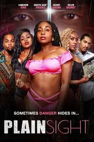 Plain Sight movie poster