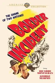 Border Incident movie poster