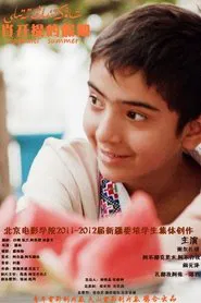 肖开提的假期 movie poster