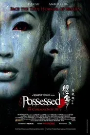 Poster do filme Possessed