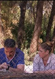 Bilingual movie poster