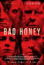 Bad Honey movie poster