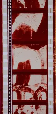 Poster do filme Un soir au cinéma, suivi de Pour faire un film