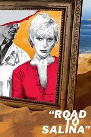 Poster do filme A Trilha de Salina