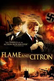 Flame & Citron movie poster