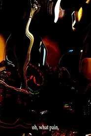 Poster do filme Letter to