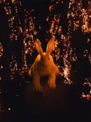 A Flammable Planet movie poster