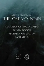 Summer Lost movie poster