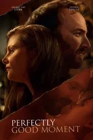 Perfectly Good Moment movie poster