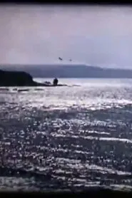 Lovely Devon movie poster