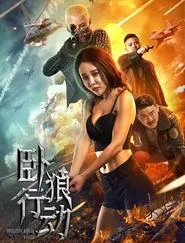 Poster do filme 卧狼行动