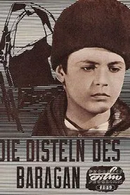Poster do filme The Thistles of The Bărăgan