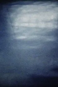Poster do filme FloorLight