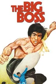 The Big Boss movie poster