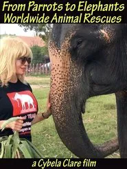 Poster do filme From Parrots to Elephants: Worldwide Animal Rescues