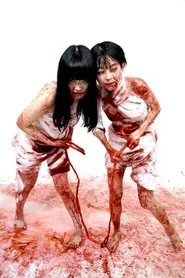 2 Girls 1 Gut movie poster