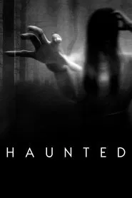 Lo que vi tv show poster