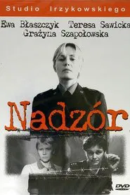 Poster do filme Custody
