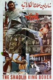 Iron Fists movie poster