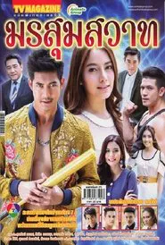 Monsoon of Passion tv show poster