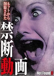 Poster do filme Not Found 8