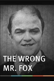 The Wrong Mr. Fox movie poster