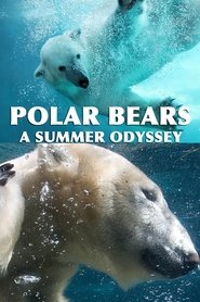 Polar Bears: A Summer Odyssey movie poster