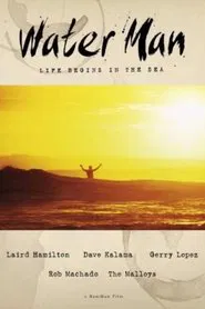 Poster do filme Water Man