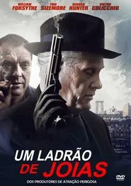 Poster do filme Um Ladrão de Jóias