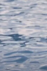 Miasia: The Nature of Experience movie poster