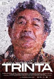 A Raça Síntese de Joãosinho Trinta movie poster