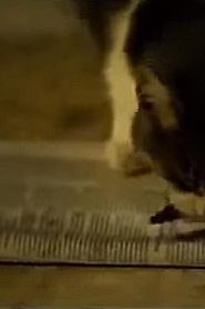 Why me? movie poster