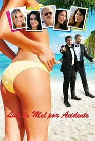 Poster do filme Lua de Mel por Acidente
