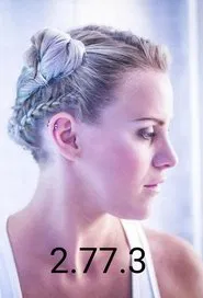 2.77.3 movie poster