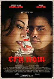 Cry Now movie poster
