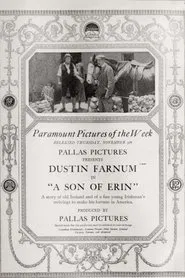 A Son of Erin movie poster