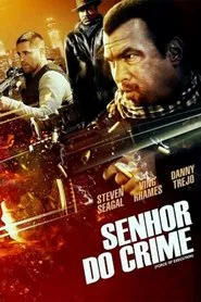 Poster do filme Senhor do Crime