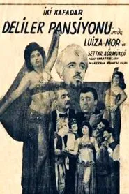 Poster do filme İki Kafadar Deliler Pansiyonunda