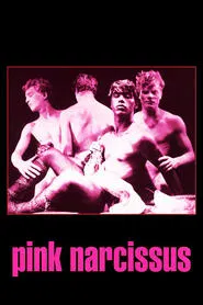 Pink Narcissus movie poster