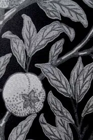 News from Nowhere movie poster