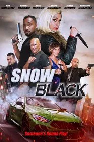 Poster do filme Snow Black