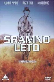 Poster do filme Shameful Summer