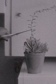 No Backsies movie poster