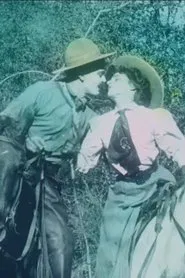 The Cowboy and the Schoolmarm movie poster